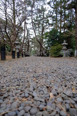 静かな冬の参道