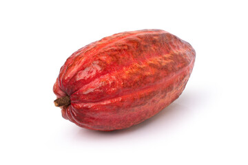 Red cocoa pod on white