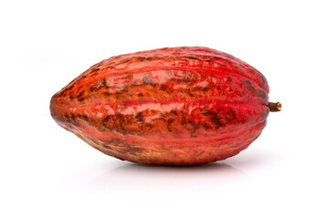 red cocoa pod (cacao) isolated on white background with clipping path.
