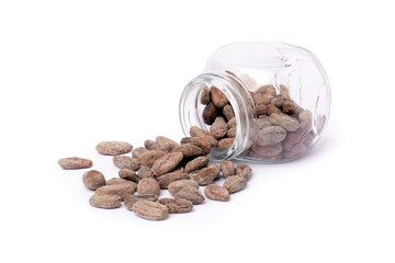 Cocoa bean (Cacao beans) in glass bottle isolated on white background.