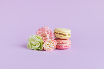 Tasty french macaroons with tender flower on a violet pastel background.