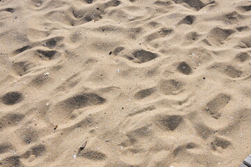 footprints in the sand