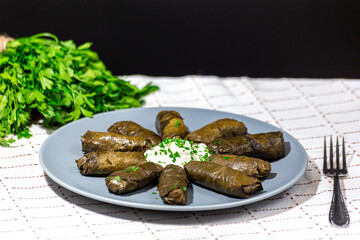 Traditional georgian dolma with sour cream and herbs on a plate, parsley, cilantro
