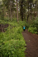 Obraz premium Trekking in the forest. View of a young woman hiking along the path in the woods in a rainy day.