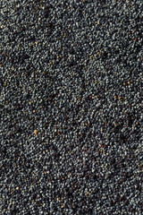 Raw Organic Poppy Seeds