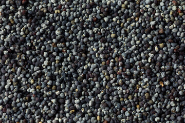 Raw Organic Poppy Seeds