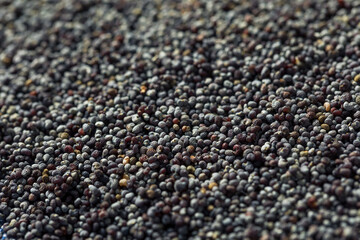 Raw Organic Poppy Seeds