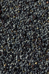 Raw Organic Poppy Seeds