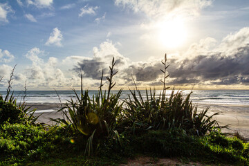 Waves and black sand highlight a visit to the beach. Taranaki, Beach, Taranaki, New Zealand..