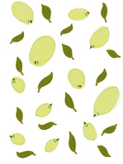 fresh lemons illustration drawing on white isolated