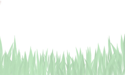 Background bianco con spazio per testo texture verde erba