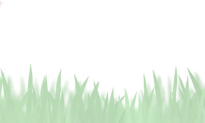 Background bianco con spazio testo e texture verde erba più ombra