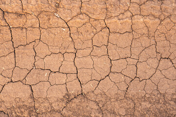 Texture of dried earth in cracks