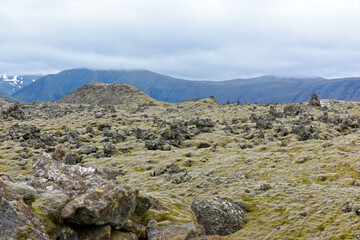 Mit verschiedenen Moosen &uuml;berwachsenes Lavafeld Berserkjahraun bei Stykkisholmur