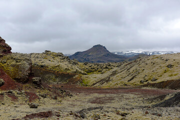 Mit verschiedenen Moosen überwachsenes Lavafeld Berserkjahraun bei Stykkisholmur
