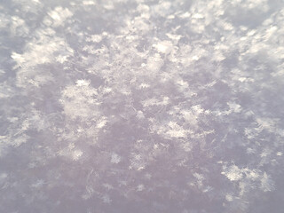 Macro photo of fresh snow and real snowflakes close-up