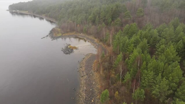 Karelia, Onega Lake, Petrozavodsk Bay. Aerial video showing the forest and the coast, near the botanical garden. The water surface of the lake and the autumn forest. Vacation in Russia concept.