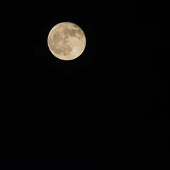Full moon in the dark sky during night time, Great super moon in sky