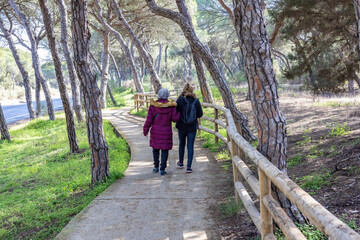 Obraz premium A mature woman walking with her elderly mother by forest pathway between mediterranean pines