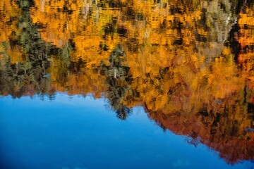reflet de l'automne sur le lac