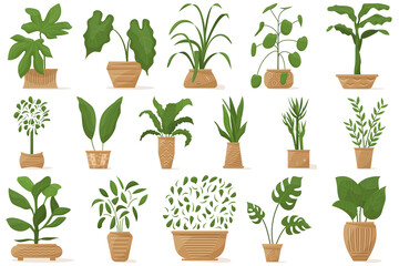 Potted plant for home and office. A diverse indoor plant in a ceramic pot with decor. Set of vector icons, cartoon, isolated