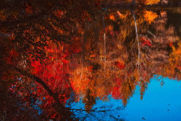 reflet de l'automne sur le lac