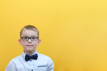 A happy schoolboy and an excellent student in glasses and a school backpack.