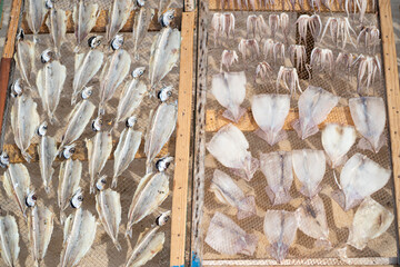 Portuguese traditional dried squid on a grid in a wooden frame. Nazare dried octopus on sand beach. 