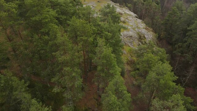 Karelia, Onega Lake, Petrozavodsk Bay. Aerial video showing the forest and the coast, near the botanical garden. The water surface of the lake and the autumn forest. Vacation in Russia concept.