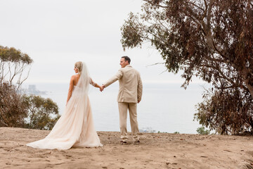 Fototapeta na wymiar Bride and Groom holding hands on a cliff over looking the pacific ocean in La Jolla California