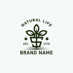 Vintage tree modern logo design vector template