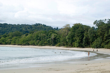 Tropical forest around the beach in National Park. UNrecognizable people walking on the sand. Costa Rica