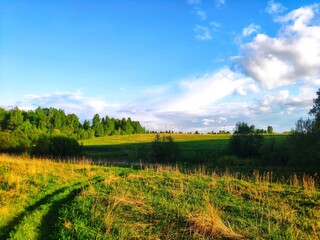 field and sky