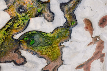 Algae grow on the bedrock of a dry river producing eutrophication