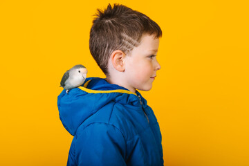 Boy in outerwear with parrot