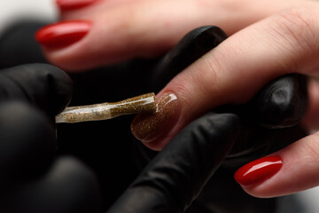 Manicurist makes a hardware manicure to a client of a beauty salon.
The master applies a decorative shiny varnish on the nail plate with a brush. The concept of beauty and nail care.