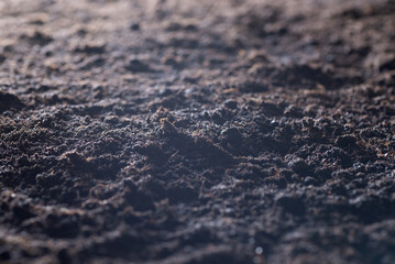 Clean soil for cultivation. The potting soil or peat is suitable for gardening and is one of the four natural elements. The land is life for our planet earth. Selective Focus.