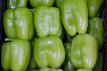 Background from a pile of fresh, green pepper vegetable, Sofia, Bulgaria   