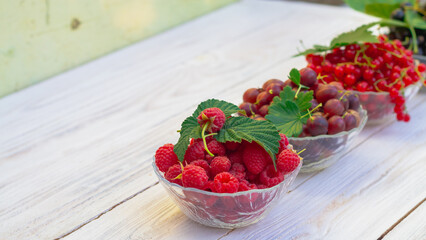 Raspberries, red currants, gooseberries, black currants in glass plates on a rustic white wooden table