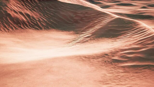 wide and wild landscape of the Arabic sand desert