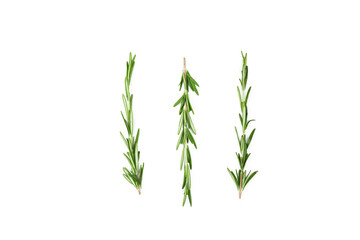 Obraz premium Rosemary. Fresh rosemary twig isolated on white background.