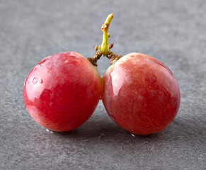 Two grapes on a twig with dew drops on a gray textured background. Close-up