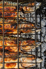 Delicious grilled mackerel fish inside grill grid on charcoal grill brazier
