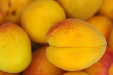 Lots of apricots close up. Fruit