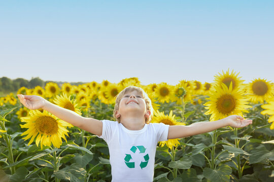 Child In Spring Sunflower Field