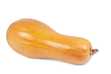 pumpkin isolated on white background