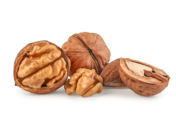 fresh kernels, broken and whole walnuts close-up isolated on white background