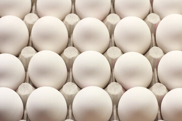 White eggs on a white background. top view.