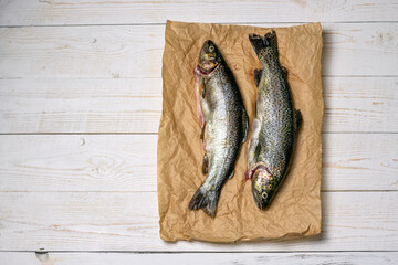 Raw fish, trout on craft paper on white wooden table. Top view, flat lay with copy space