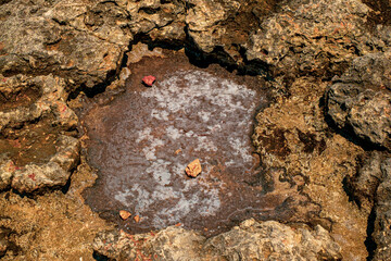 salt crystals on limestone rock, Blue Lagoon, Camino island, Malta